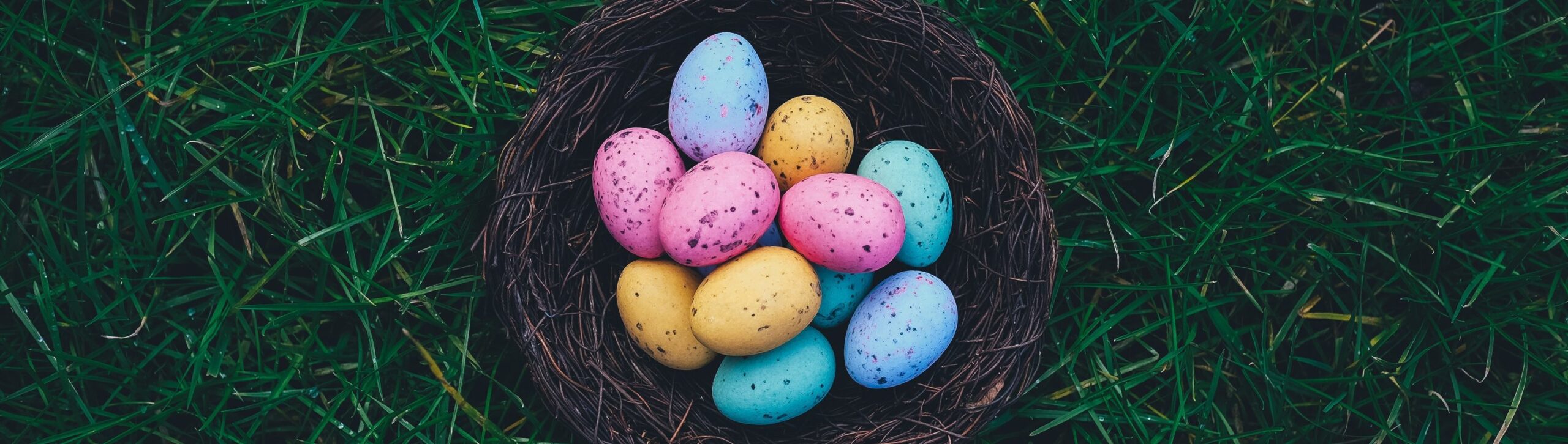 Hiding eggs during Easter in the Poconos