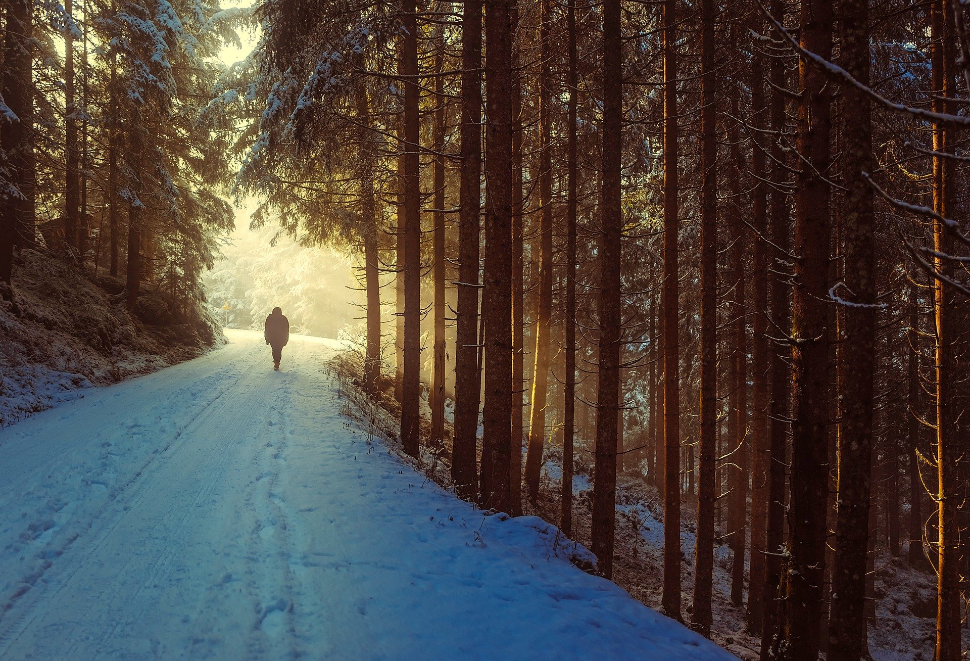 person walking a snowy trail