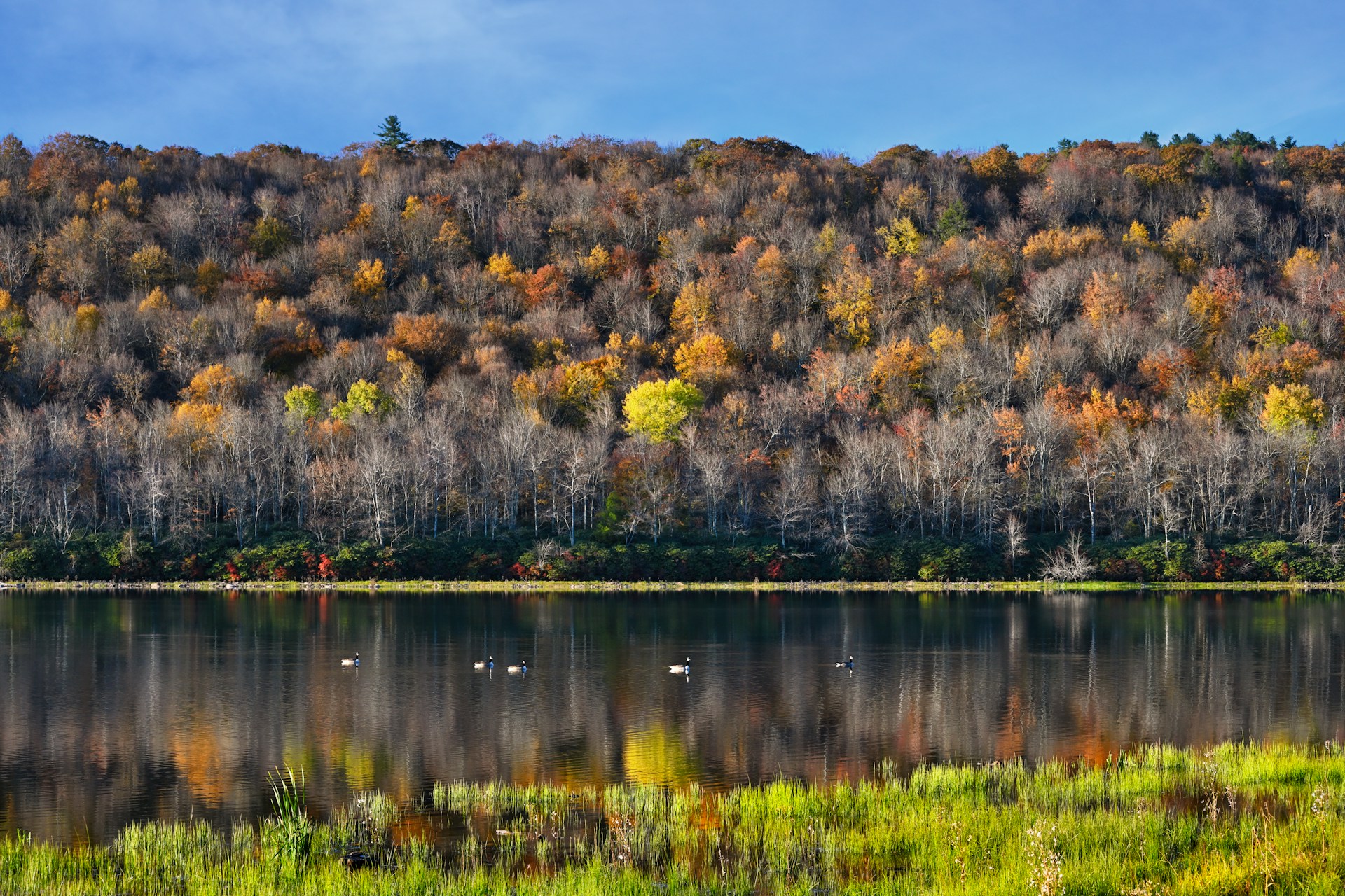 Poconos Lake